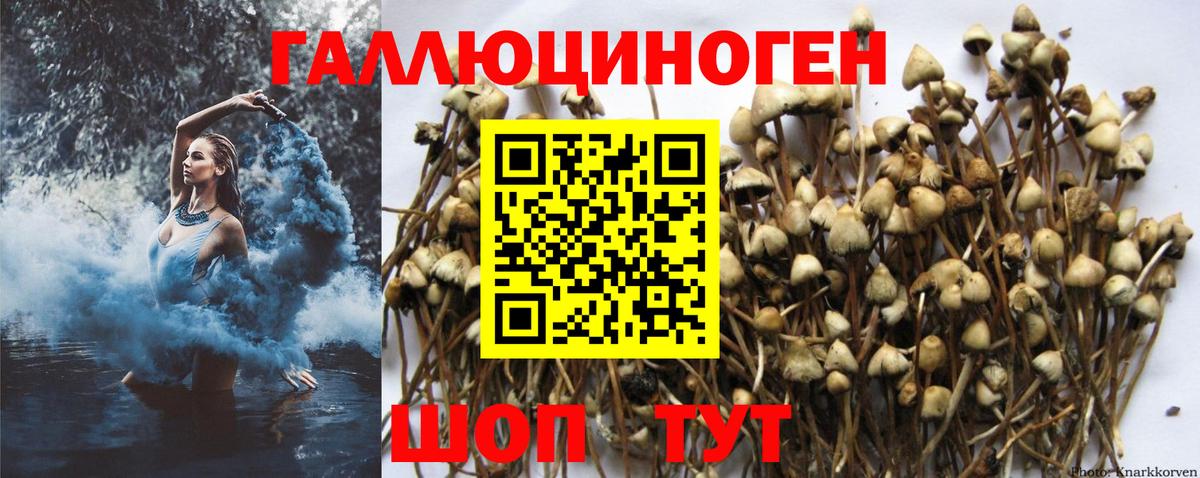 Галлюциногенные грибы Magic Shrooms  Псилоцибиновые грибы MAGIC MUSHROOMS  Новокуйбышевск  Вход с VPN 