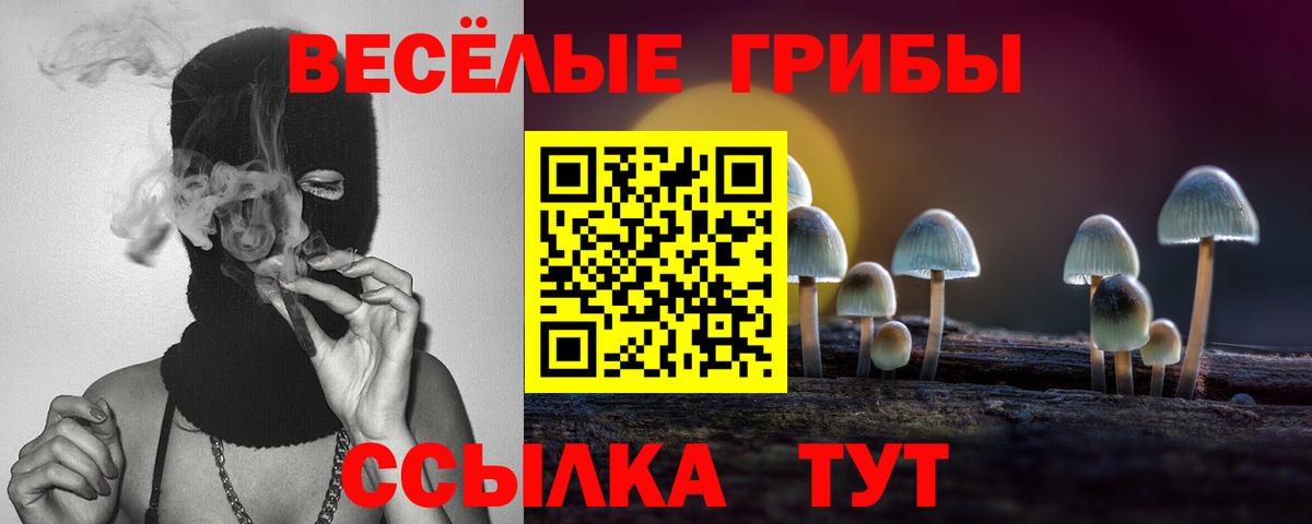 Галлюциногенные грибы Psilocybine cubensis Новокуйбышевск